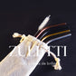 Set de accesorios ZULETTI (tapa, bombillas y cepillo limpiador)